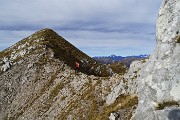 Autunnale in CIMA MENNA da Zorzone con discesa dal Chignol d’Arale il 19 novembre 2015  - FOTOGALLERY